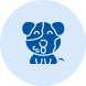 PET Blow Moulding